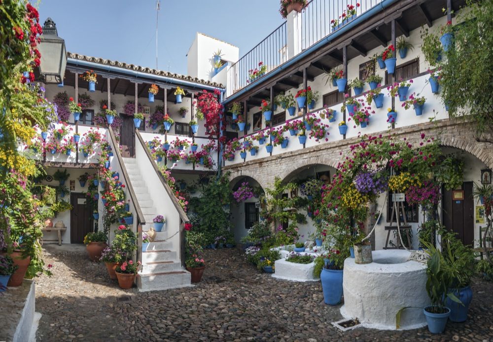 San Basilio 50 Puerta de los patios de Córdoba